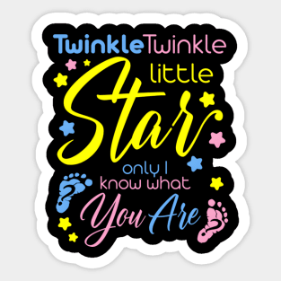 Twinkle Twinkle Little Star Only I Know W Gender Keeper Sticker